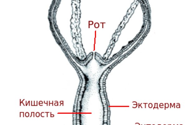 Кракен перейти