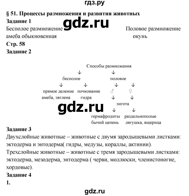 Не могу зайти на сайт кракен